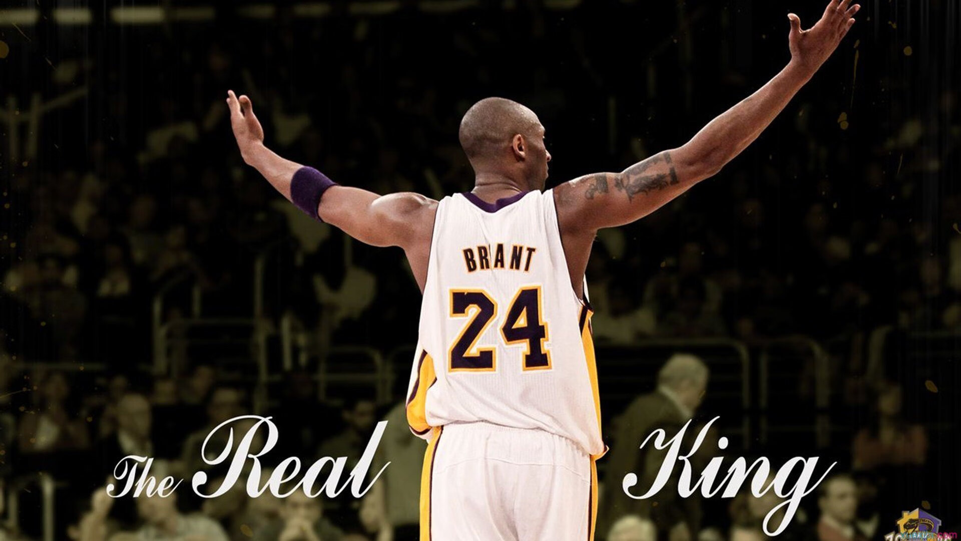 “高新区全民健身馆短柄墙球：快速抉择和精准攻击决定比赛走向”