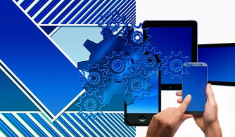 米兰体育官方网站-中国篮球联赛品牌建设及粉丝经济研究，国内篮球职业联赛