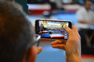 ac米兰-中国篮球联赛市场细分与精准营销研究，全国篮球联赛优势