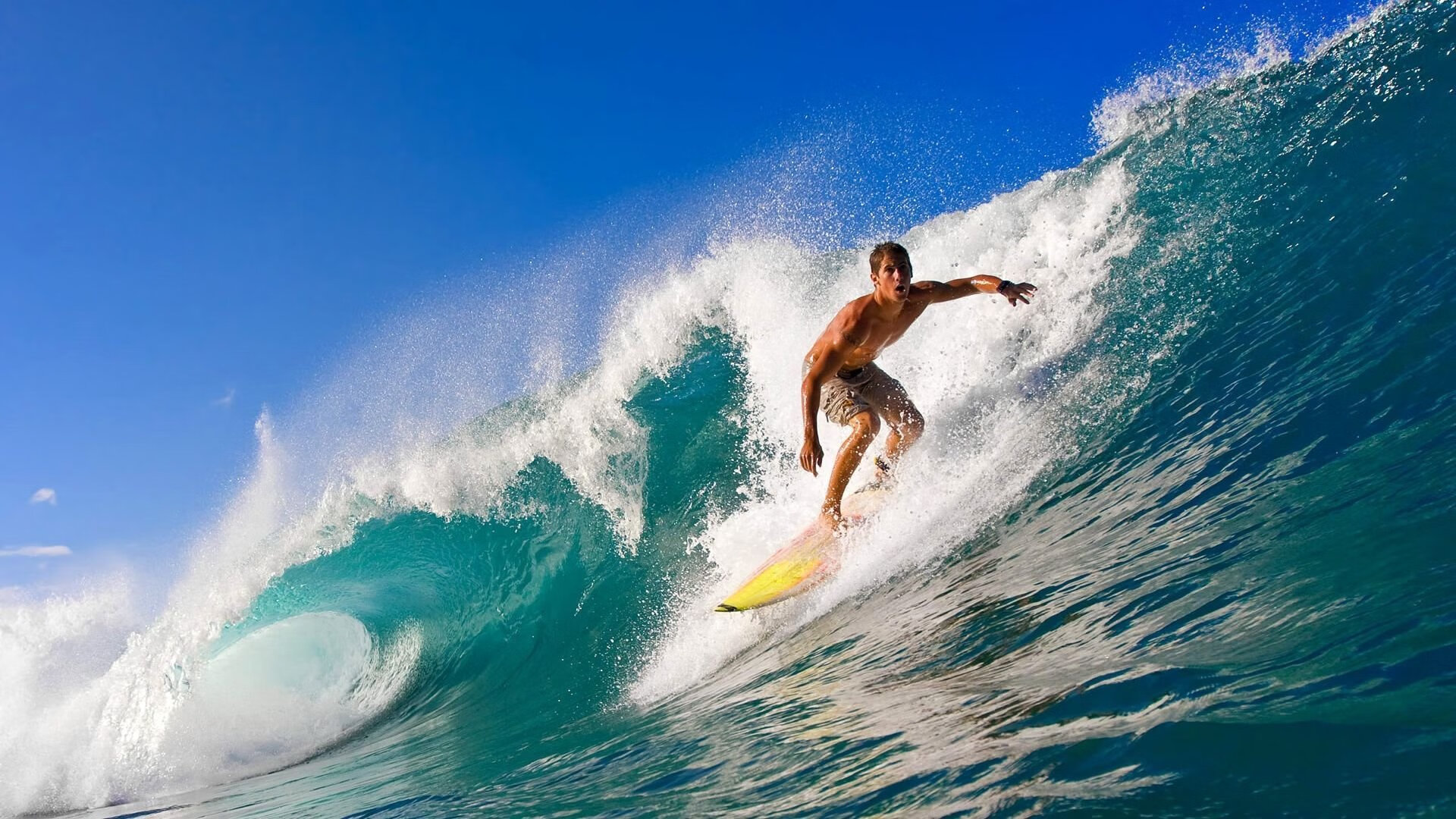 勒阿弗尔稳步推进积分上升，勒阿弗尔青训